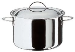 Spring Cristal Kookpan Met Deksel ø 24 Cm Rvs Glans