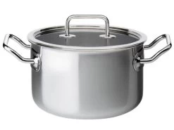 Spring Brigade Kookpan Met Glasdeksel ø 20 Cm Rvs