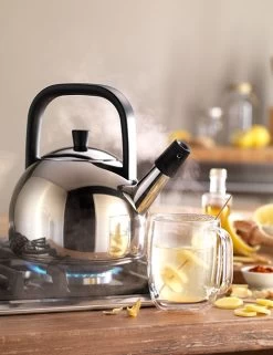 Zwilling Plus Fluitketel Rond 1,6 Liter Rvs -Le Creuset Winkel zwilling plus fluitketel rond 1 5 liter rvs